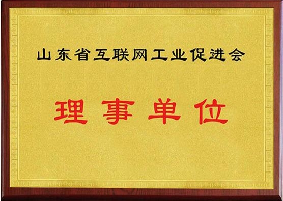 山東省互聯網工業促進會理事單位