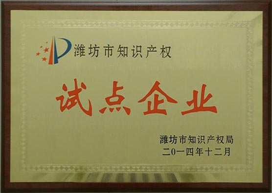 濰坊市知識產(chǎn)權(quán)試點企業(yè)