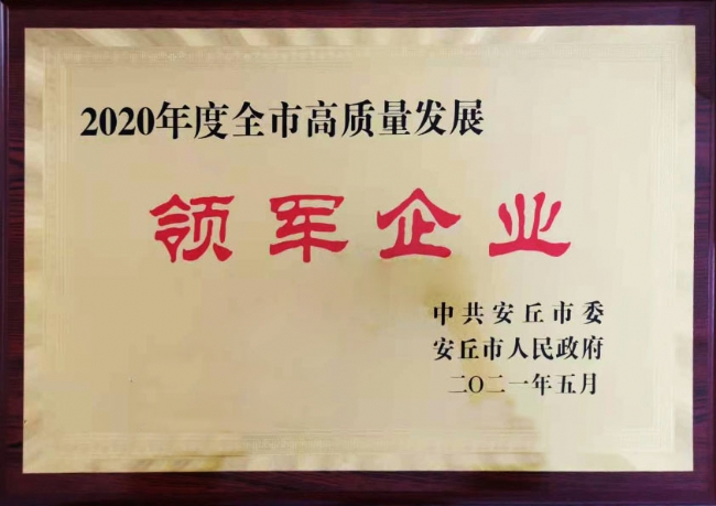 高質量領軍企業